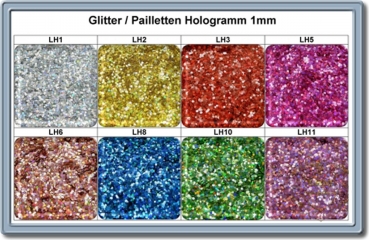 100g Hologramm Glitter 8 Farben zur Auswahl LH