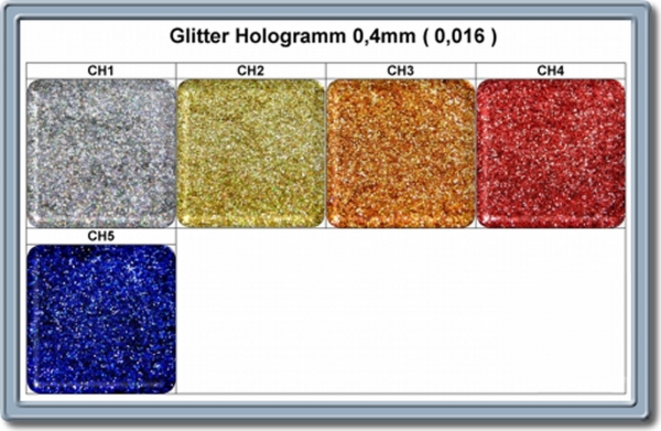 100g Hologramm Glitter 5 Farben zur Auswahl CH